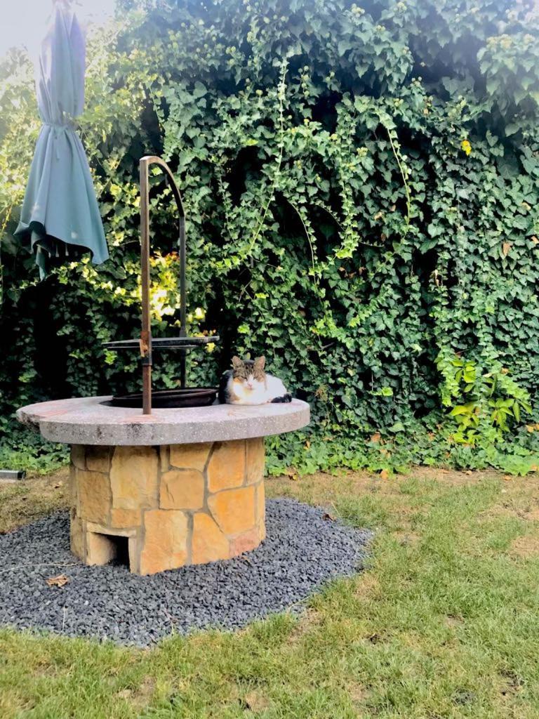 Aranylo Apartmanhaz Hajdúszoboszló Buitenkant foto